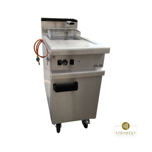 Professionele friteuse 18L - tot 80 personen Professionele friteuse 18L - tot 80 personen